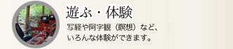 遊ぶ・体験