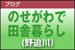 のせがわ（野迫川）で田舎暮らし