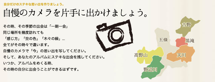 テーマ別フォトギャラリー