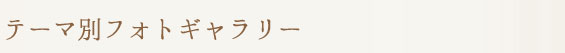 テーマ別フォトギャラリー