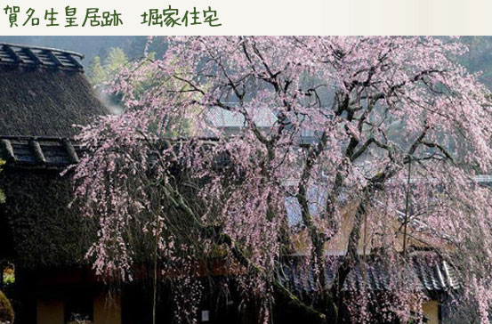 賀名生皇居跡　堀家住宅