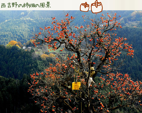 賀名生皇居跡　堀家住宅