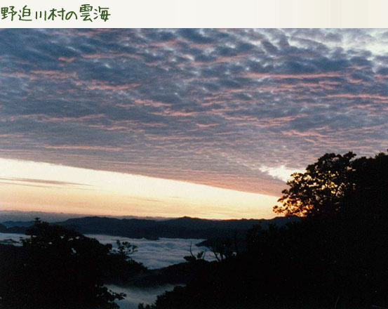 野迫川村の雲海